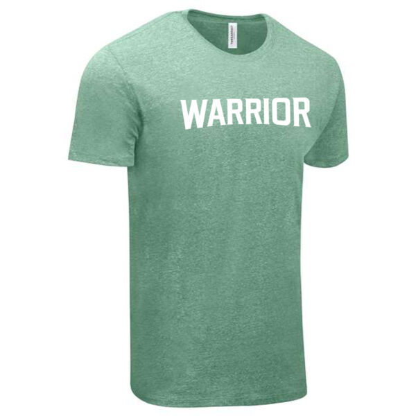 Threadfast Apparel - Unisex Triblend T-Shirt - Printed Logos Thumbnail